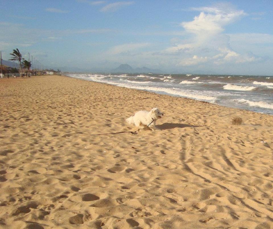 Casa De Praia - Verao Vermelho I - Cabo Frio - Unamar Esterno foto